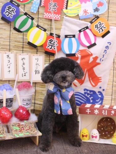 20240716コタロウくん